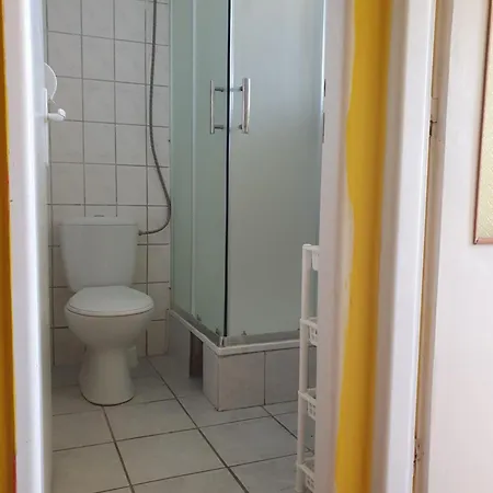 Viola 3*