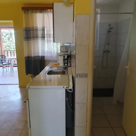 Viola 3*